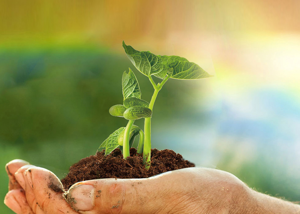 人生就是博·(中国区)官方网站