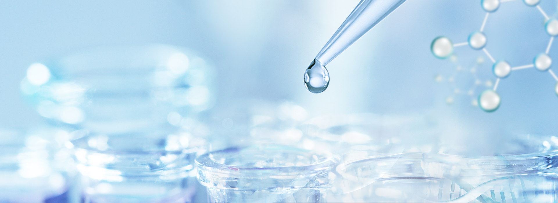 人生就是博·(中国区)官方网站